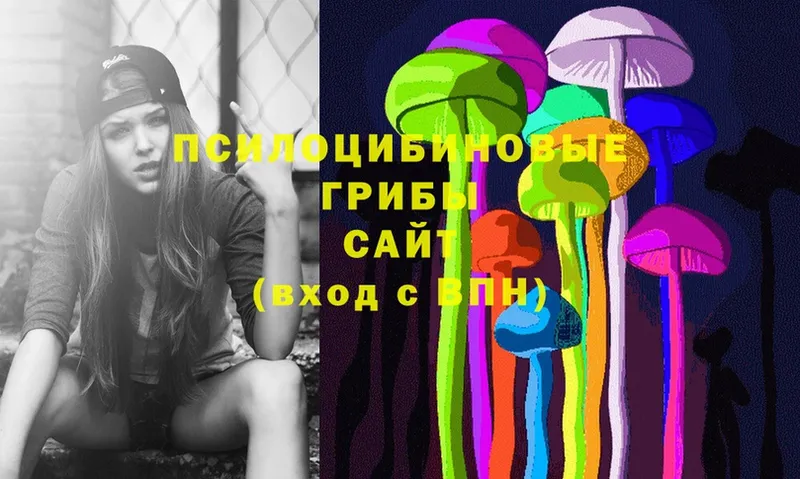 Псилоцибиновые грибы Psilocybe  где можно купить   Краснокамск 